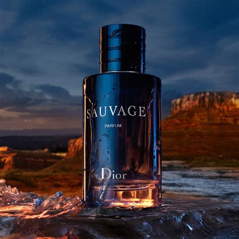 dior savauge perfum|dior sauvage cheapest price 100ml.